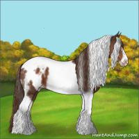 Horse Color:White Spotted Liver Chestnut Tobiano Frame Appaloosa 