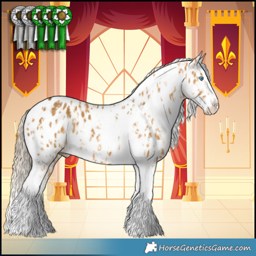 Horse Color:Palomino Splash Tobiano Appaloosa  and Chocolate Palomino Dun Splash Appaloosa Rabicano 