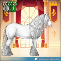 Horse Color:Palomino Splash Tobiano Appaloosa  and Chocolate Palomino Dun Splash Appaloosa Rabicano 