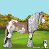 Horse Color:Brown Dun Appaloosa  and Liver Red Dun Splash Tobiano Appaloosa Rabicano 