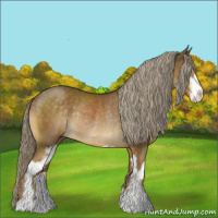 Horse Color:Chocolate Palomino Sabino Rabicano 