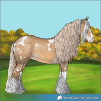 Horse Color:White Spotted Chocolate Palomino Dun Splash Rabicano 