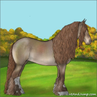 Horse Color:Liver Red Dun Roan 