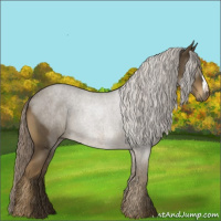 Horse Color:Chocolate Palomino Roan 