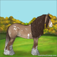 Horse Color:White Spotted Liver Red Dun Splash 