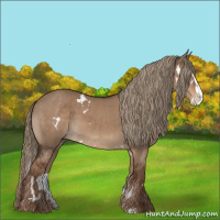 Horse Color:White Spotted Liver Red Dun Splash 