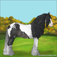 Horse Color:White Spotted Black Splash Tobiano 