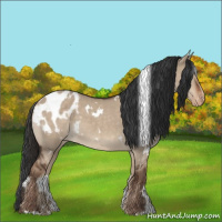 Horse Color:White Spotted Liver Red Dun Appaloosa 