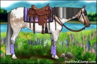 Horse Color:White Spotted Brown Roan Dun 