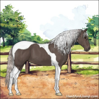 Horse Color:Silver Black Tobiano