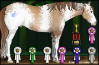 Horse Color:White Spotted Liver Chestnut Pearl Sabino 