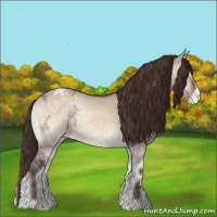 Horse Color:Bay Ice Onyx Appaloosa 