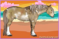 Horse Color:White Spotted Chocolate Palomino Dun Brindle