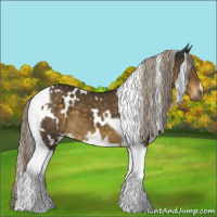 Horse Color:White Spotted Chocolate Palomino Tobiano 