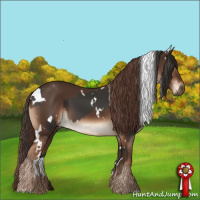 Horse Color:White Spotted Liver Chestnut and White Spotted Liver Chestnut Rabicano