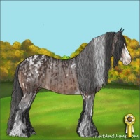 Horse Color:Brown Sabino Varnish  and White Spotted Brown Sabino Blanket 