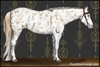 Horse Color:Smoky Blue Roan Sabino Splash Near Leopard  and Smoky Blue Roan Pearl Sabino Splash Near Leopard 
