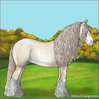 Horse Color:Chocolate Palomino Pearl Dun Sabino 