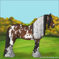 Horse Color:White Spotted Buckskin 