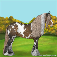 Horse Color:White Spotted Chocolate Palomino Sabino 