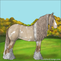 Horse Color:White Spotted Chocolate Palomino Roan Dun Splash Varnish 