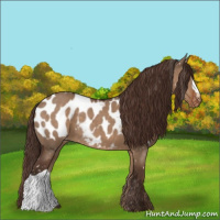Horse Color:Liver Red Dun Appaloosa 