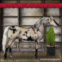 Horse Color:Void White Spotted Liver Red Dun Mushroom 