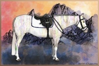 Horse Color:Silver Smoky Grullo Ice Roan Splash