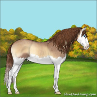 Horse Color:Red Onyx Roan Splash