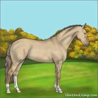 Horse Color:Chocolate Palomino Dun Mushroom Rabicano 