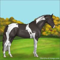 Horse Color:Liver Chestnut Tobiano 