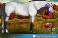 Horse Color:Platinum White Spotted Buckskin Roan Dun 