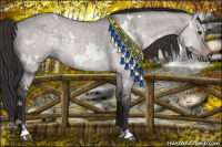 Horse Color:Platinum White Spotted Buckskin Dun
