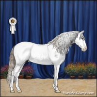 Horse Color:Smoky Black Sabino Splash Appaloosa Rabicano 