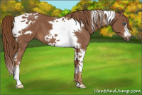 Horse Color:Chestnut Tobiano Frame 