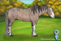 Horse Color:Brown Dun Sabino Splash Appaloosa  and Brown Dun Sabino Splash Appaloosa 