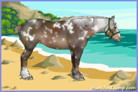 Horse Color:White Spotted Liver Chestnut Sabino 