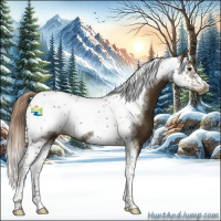 Horse Color:Chocolate Palomino Tobiano Frame 