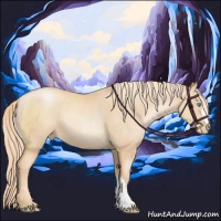 Horse Color:Gold Champagne Pearl 