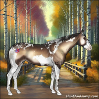 Horse Color:Liver Red Onyx Splash Tobiano 