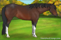 Horse Color:Brown 
