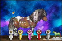 Horse Color:Nacre White Spotted Bay Appaloosa