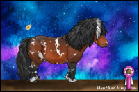 Horse Color:White Spotted Bay 