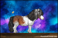 Horse Color:White Spotted Brown
