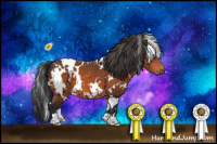 Horse Color:White Spotted Brown 