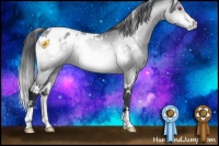 Horse Color:White Spotted Brown Chinchilla Appaloosa