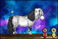 Horse Color:White Spotted Bay Chinchilla 