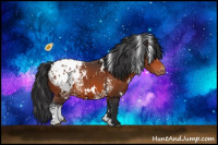 Horse Color:White Spotted Brown Appaloosa 