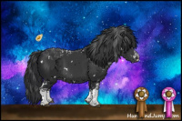 Horse Color:White Spotted Black 