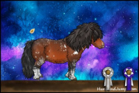Horse Color:White Spotted Bay 
